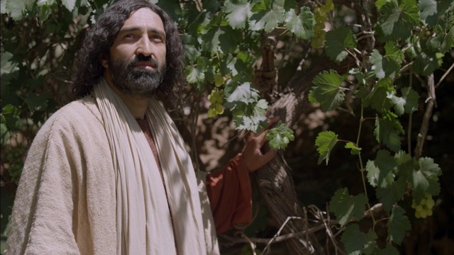 Giovanni 15:1–11